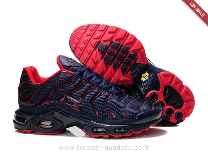 tn requin chere